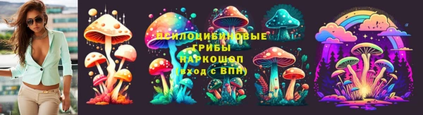 ALPHA-PVP Надым