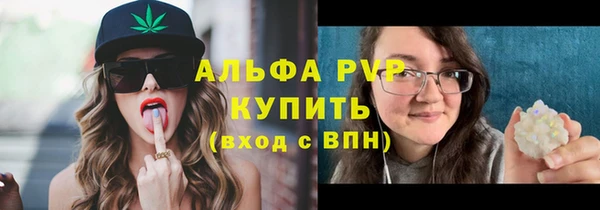 дурь Алексин