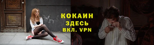 дурь Алексин