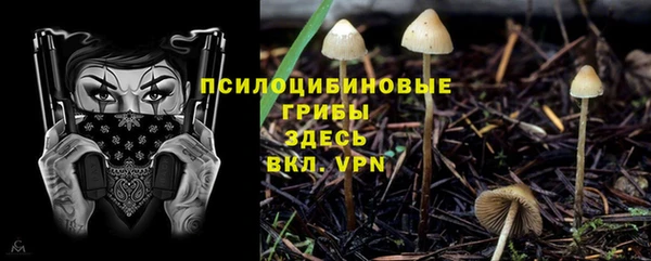 ALPHA-PVP Надым