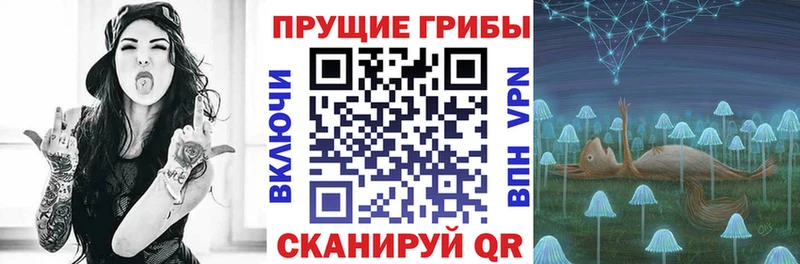 Галлюциногенные грибы мицелий  сколько стоит  Мураши 